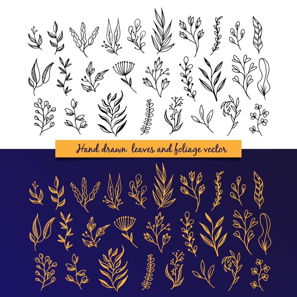 Hand drawn leave and foliage vector collection set