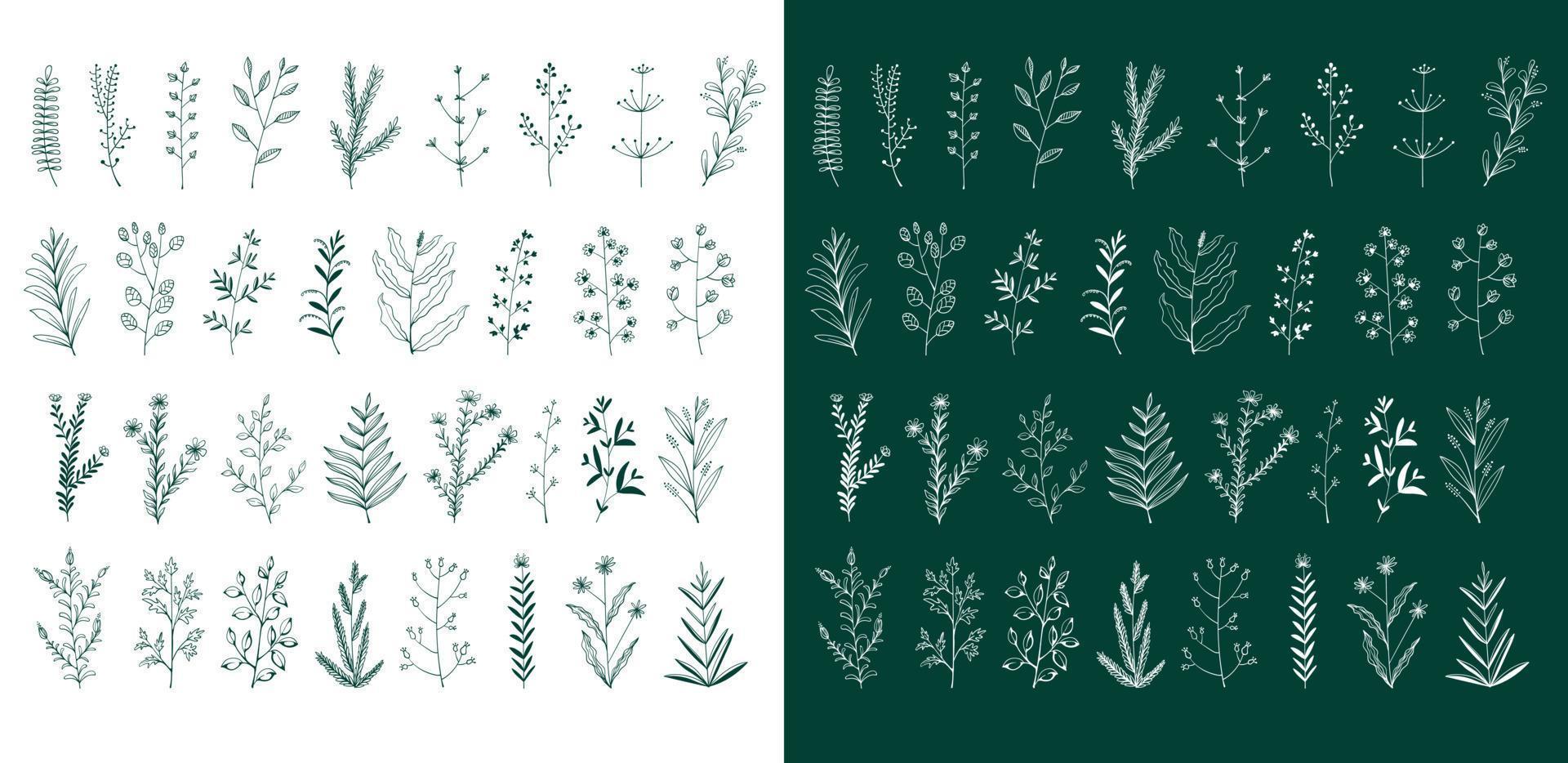 floral set illustration vector