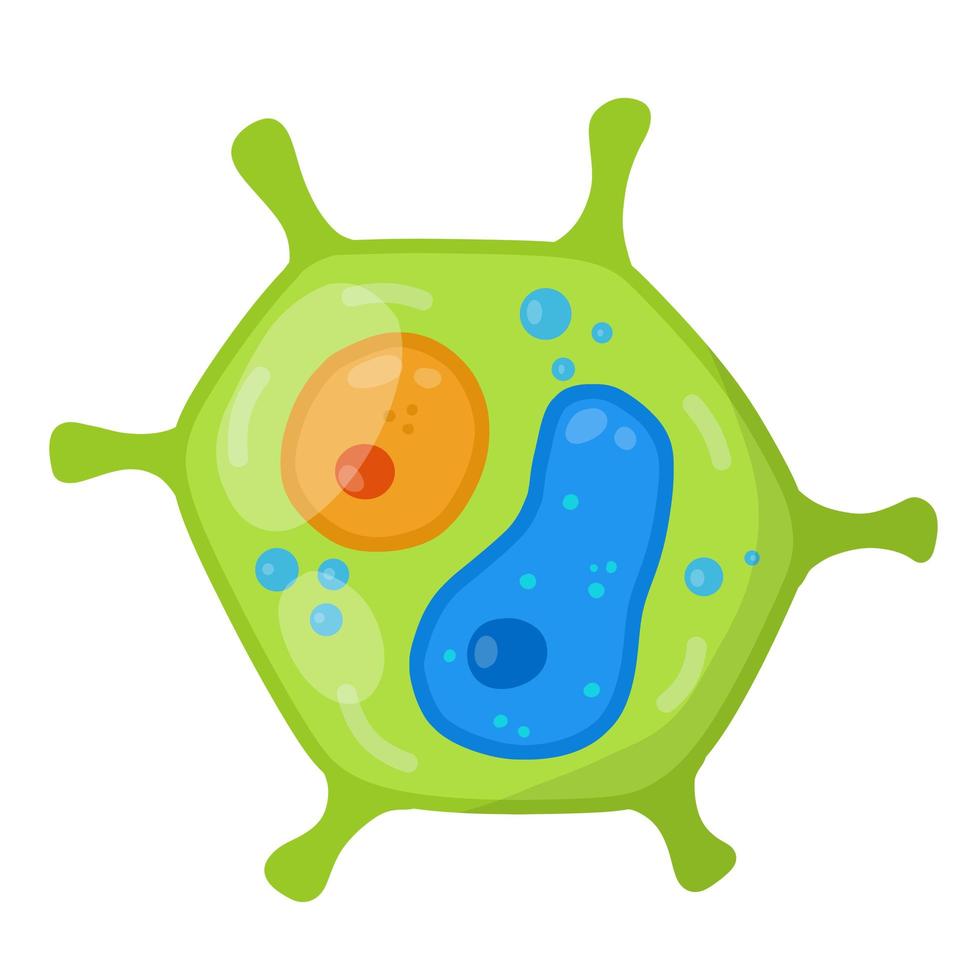 Green cell of the plant. Element of science and biology. vector