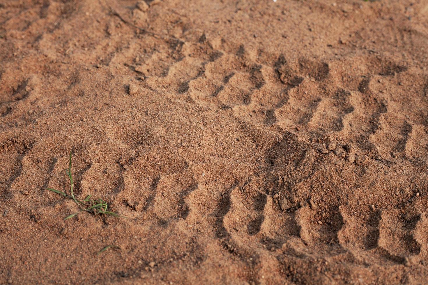 Motorcycle wheel marks on the ground photo