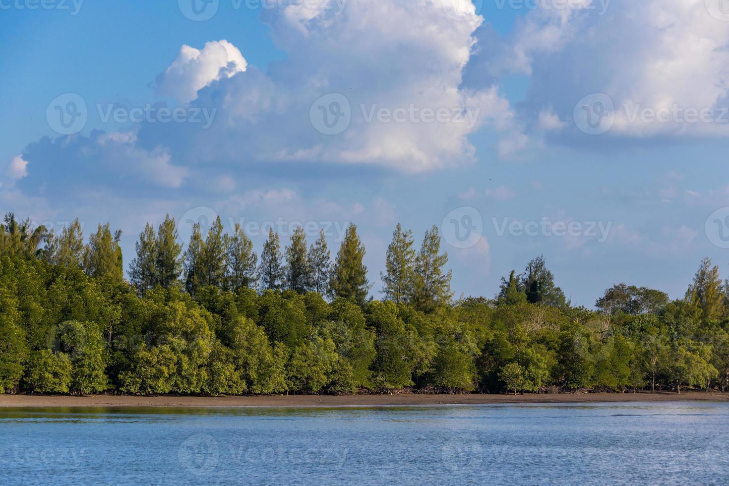 Beautiful natural view of Krabi River, Krabi, Thailand. photo