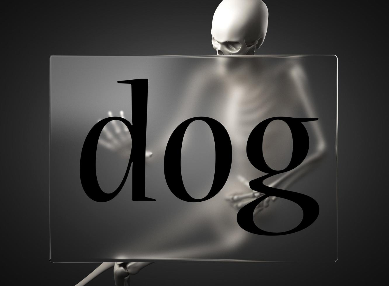 dog word on glass and skeleton photo