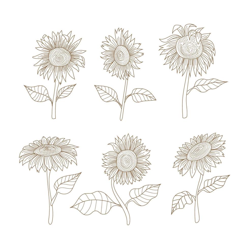 garabatos de hierbas y flores, un conjunto de flores dibujadas a mano, un conjunto floral de flores silvestres y hierbas, objetos vectoriales aislados en un fondo blanco. conjunto de impresión de flores vectoriales de dibujo de una línea. botánico vector