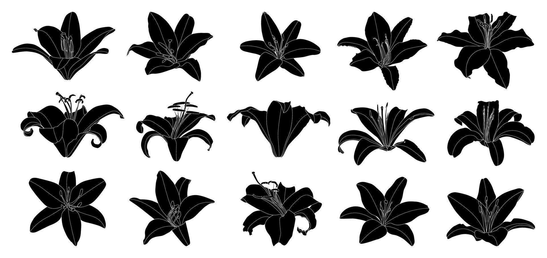 Set of isolated silhouette lily flower vector