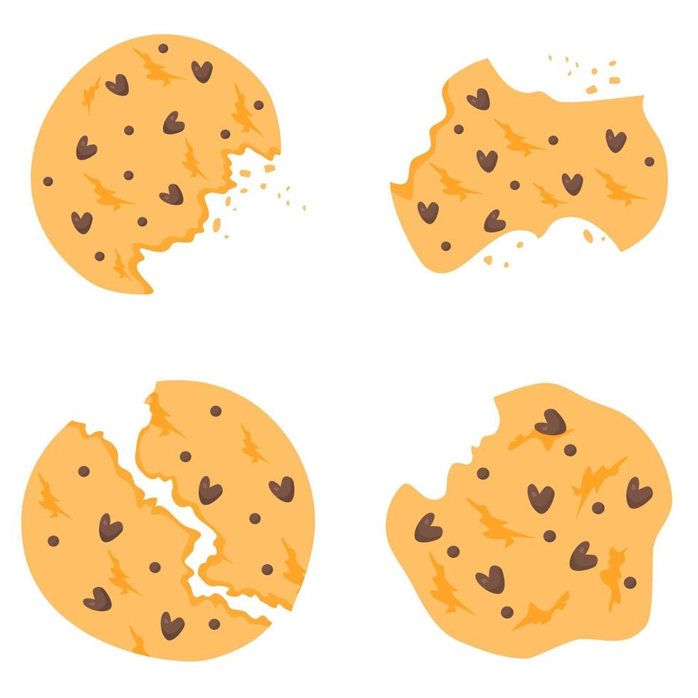 chocolate chip cookie vector