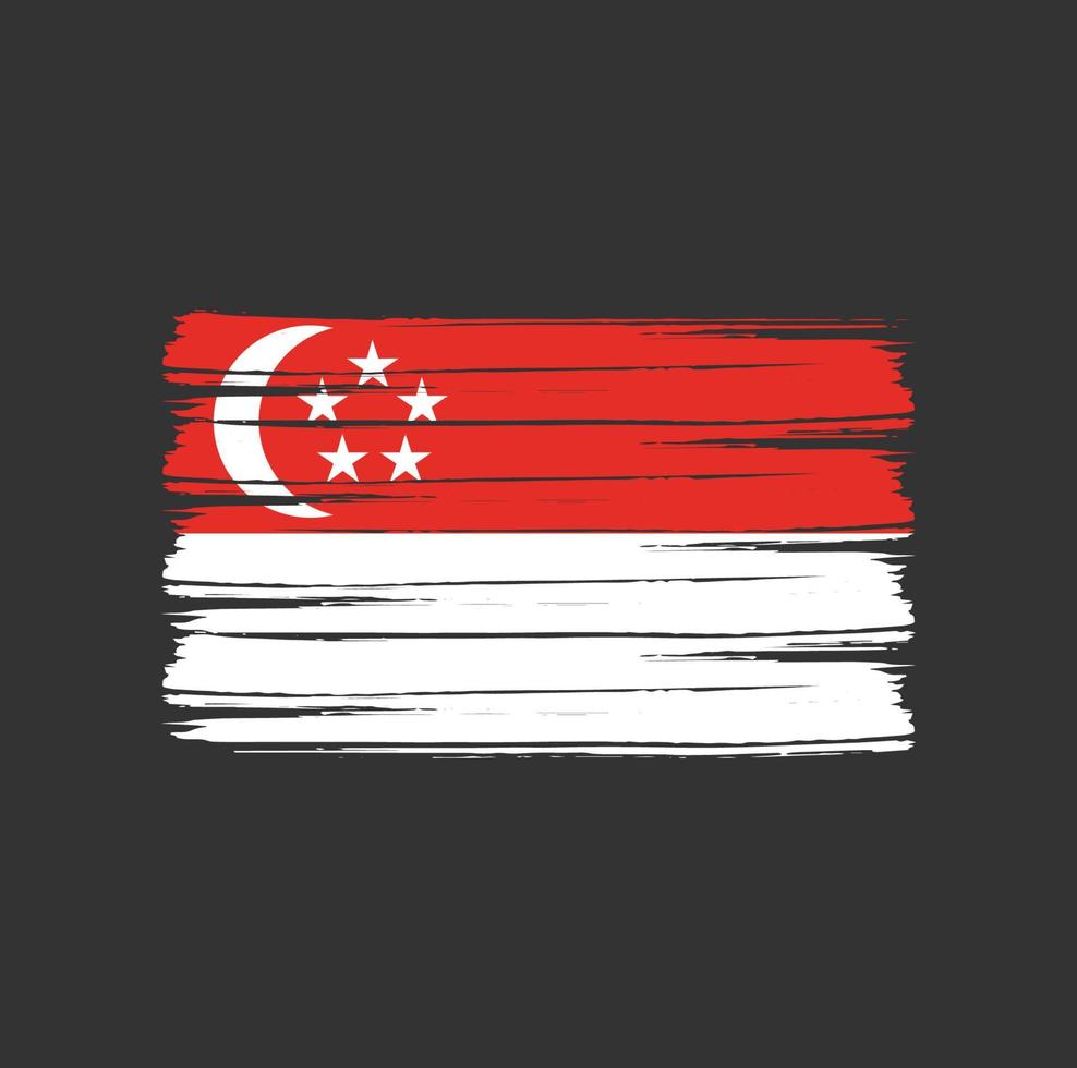 Singapore Flag Brush vector