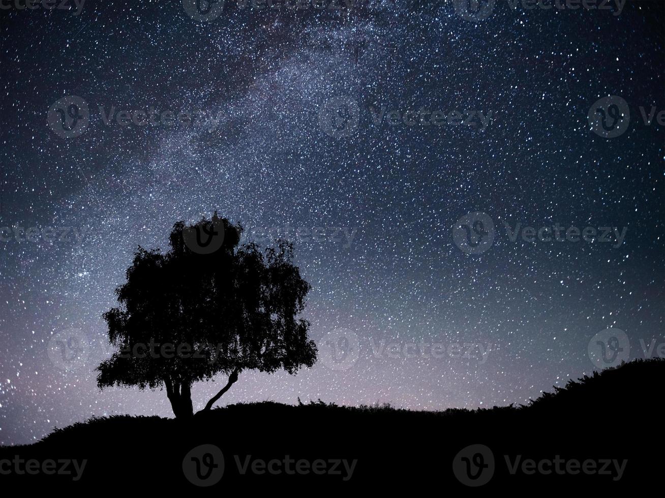 paisaje con cielo estrellado nocturno y silueta de árbol en la colina. vía láctea con árbol solitario, estrellas fugaces. foto