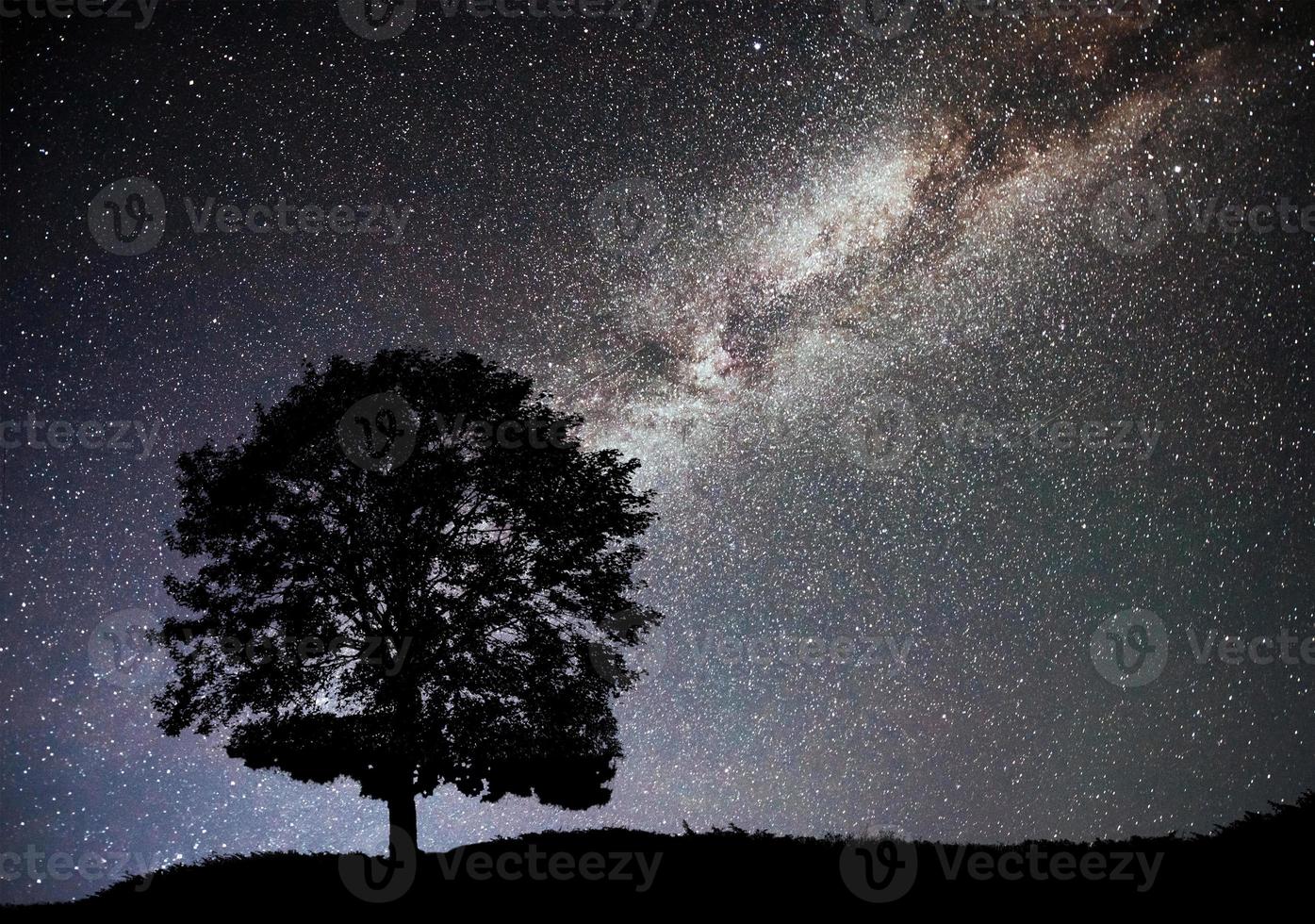 Landscape with night starry sky and silhouette of tree on the hill. Milky way with lonely tree, falling stars. photo