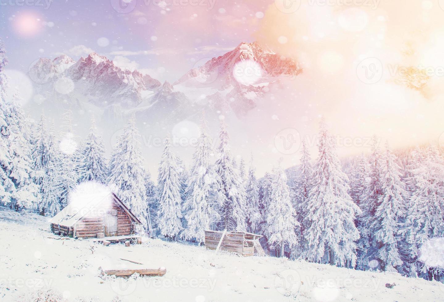 Hut in the mountains in winter, background with some soft highlights and snow flakes. Carpathians, Ukraine. photo