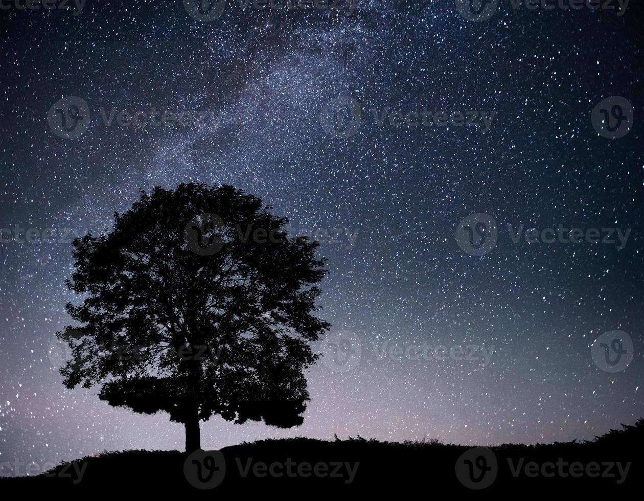 Landscape with night starry sky and silhouette of tree on the hill. Milky way with lonely tree, falling stars. photo