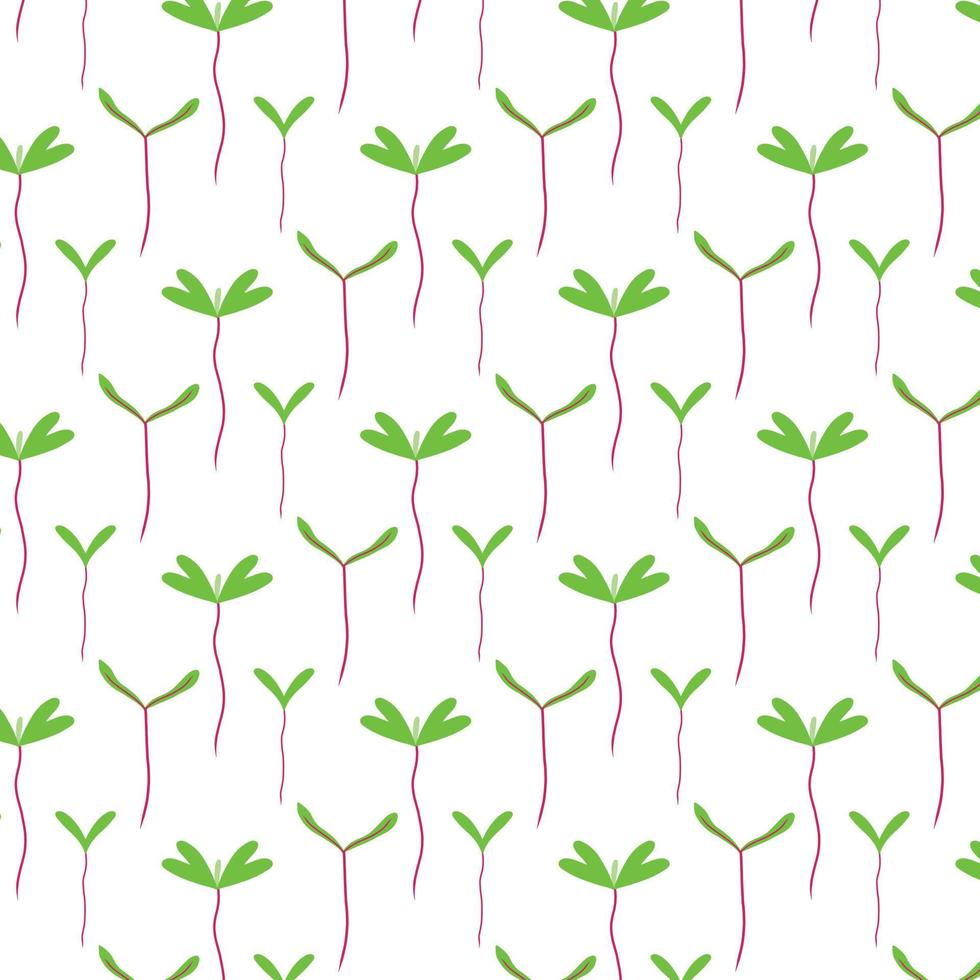 Vector seamless pattern with greenery. Pattern with beet sprouts.