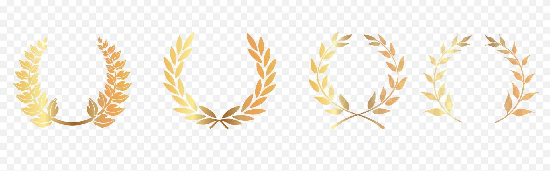 Set of Golden laurel or olive greek wreath vector illustration isolated on transparent background