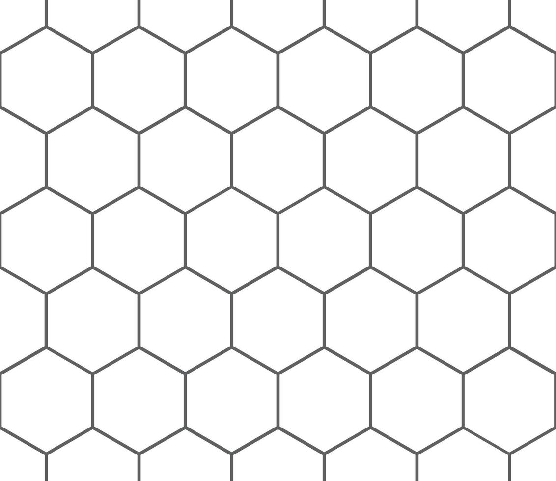 Bee honeycomb seamless pattern, art honey texture. Black and white honeycomb hexagon pattern. vector
