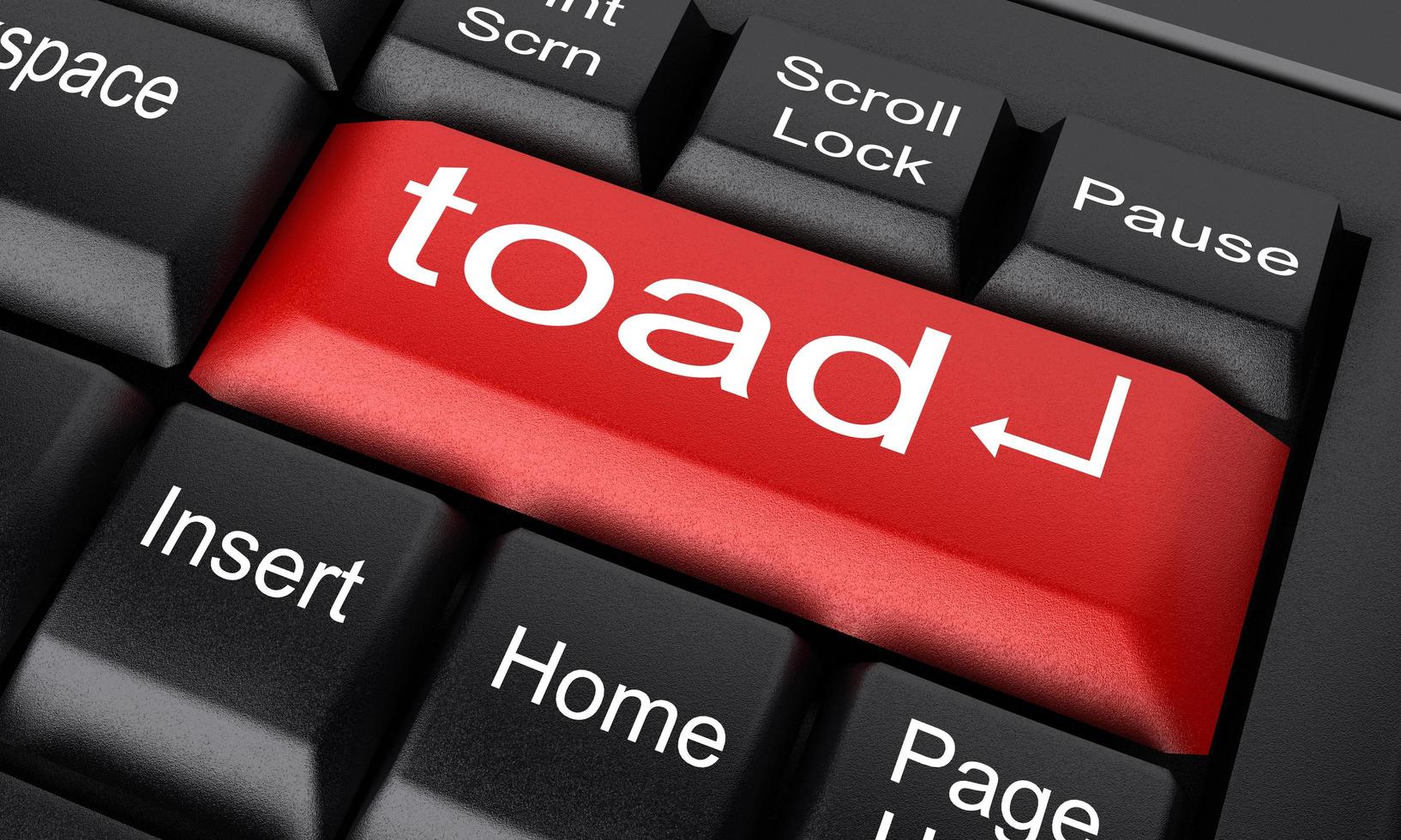 toad word on red keyboard button photo