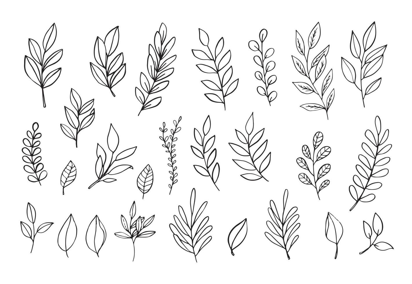 Vector branches and leaves. Hand drawn floral elements. Winter branches and leaves. Vintage botanical illustrations.