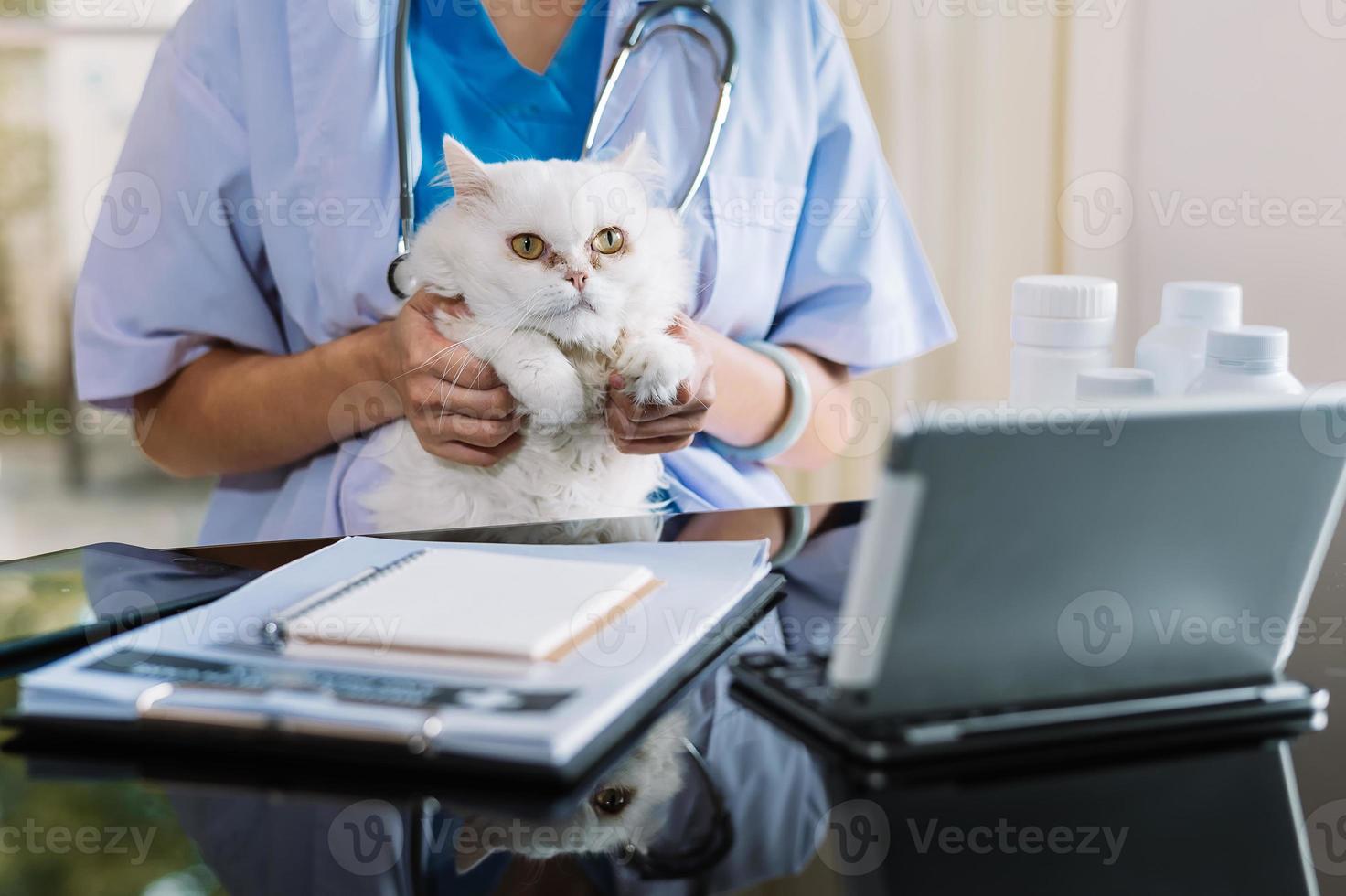 médico veterinario con un gato de tres colores en brazos. Equipo medico foto