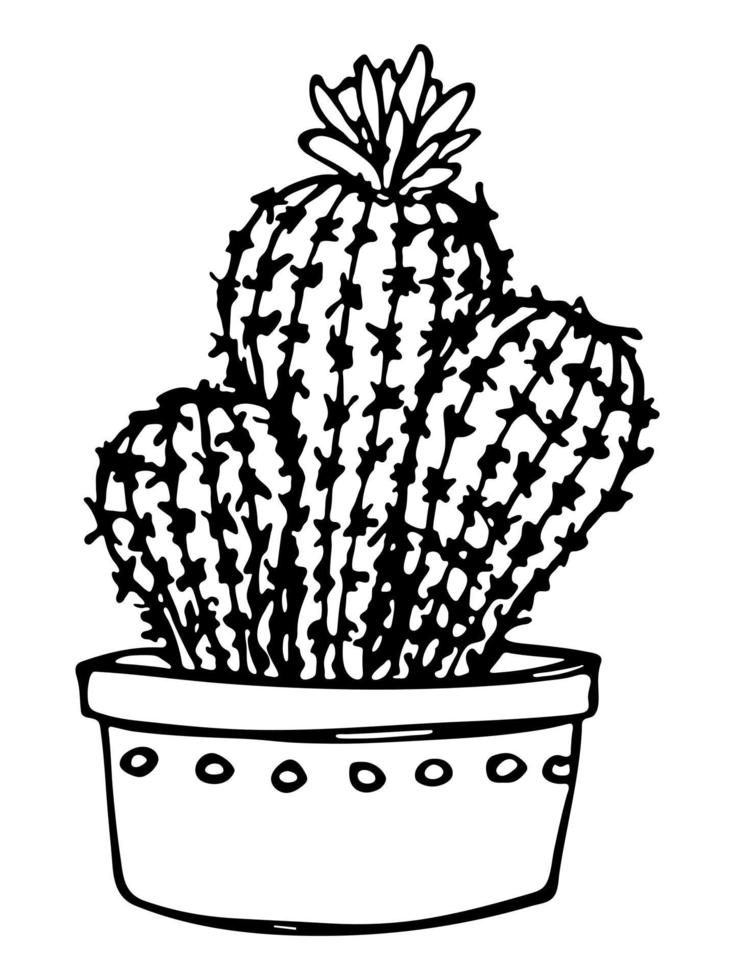 Cute hand drawn simple cactus. Houseplant in a pot clipart. Cacti illustration isolated on white background. Cozy home doodle. vector