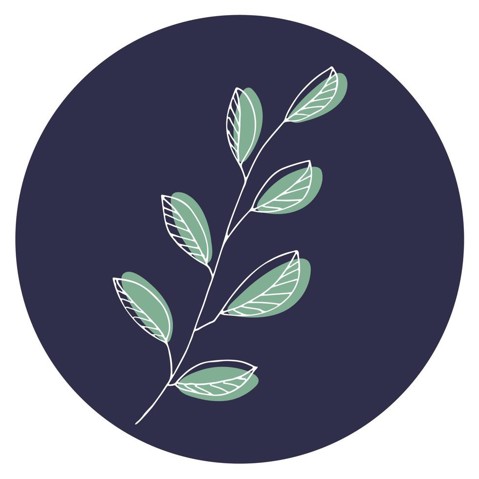 Vector icon and emblem for social media story highlight covers. Design templates for bloggers, photographers and designers. Abstract minimal circle backgrounds with nature leaves.