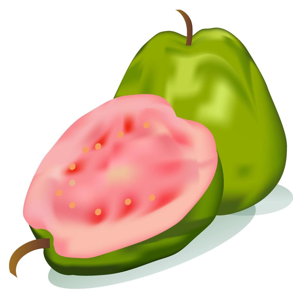 fruta fresca de guayaba vector