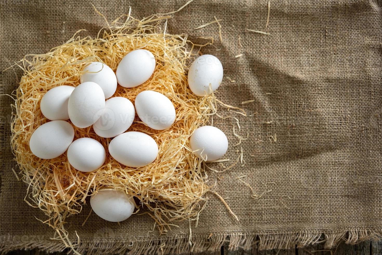 huevos de gallina blanca en el nido de paja sobre tela de arpillera foto