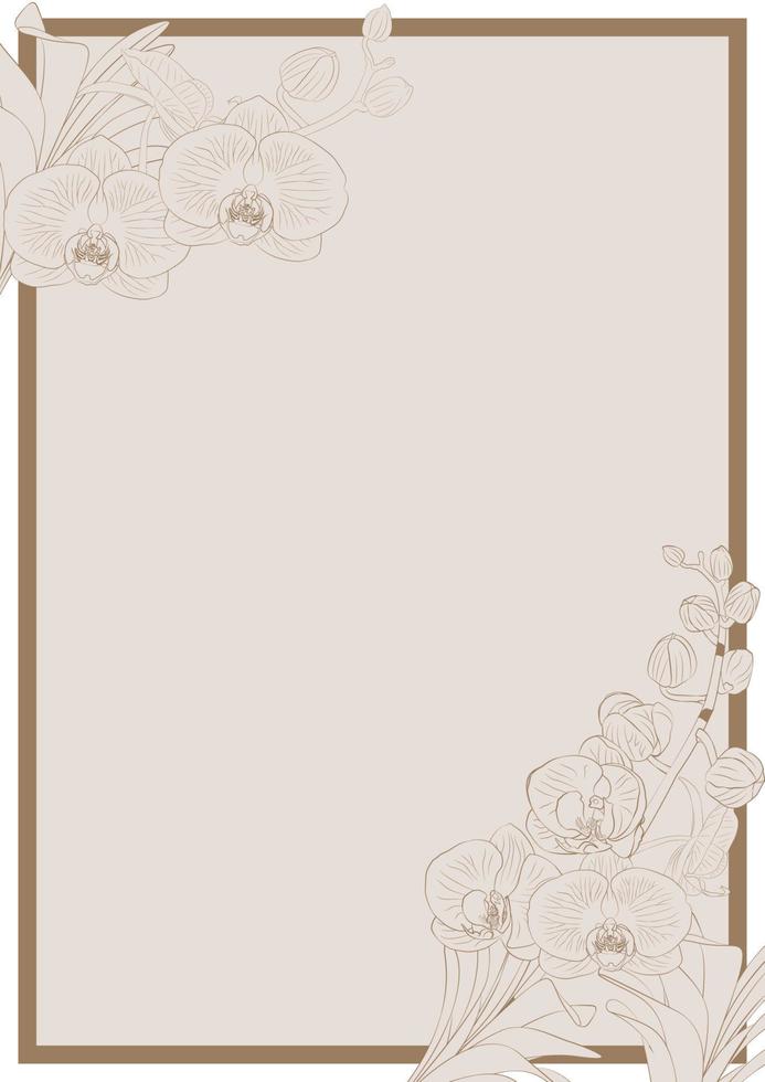 orchid flowers frame vector