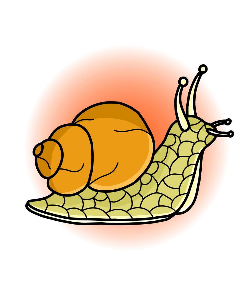 vector graphic illustration of a snail for design needs or products such as children's books and others. simple vector illustration.