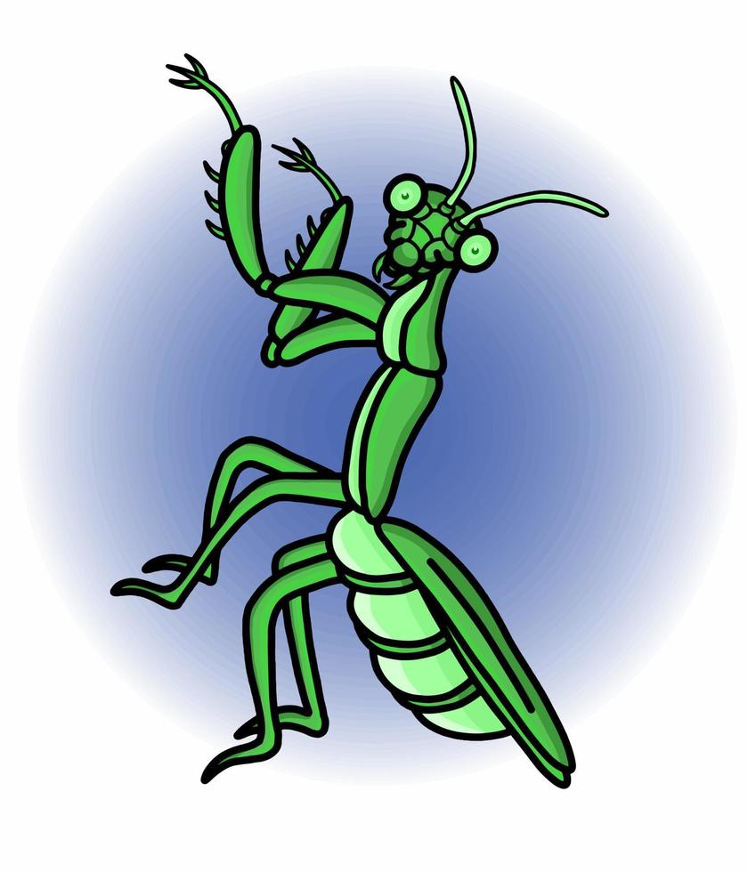 ilustración gráfica vectorial de una mantis religiosa para necesidades de diseño o productos como libros infantiles y otros. ilustración vectorial sencilla. vector