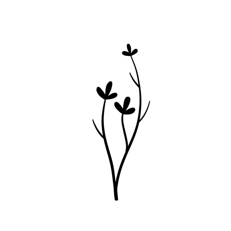 planta natural flor de garabato abstracto. bosquejo tallo blanco y negro vector