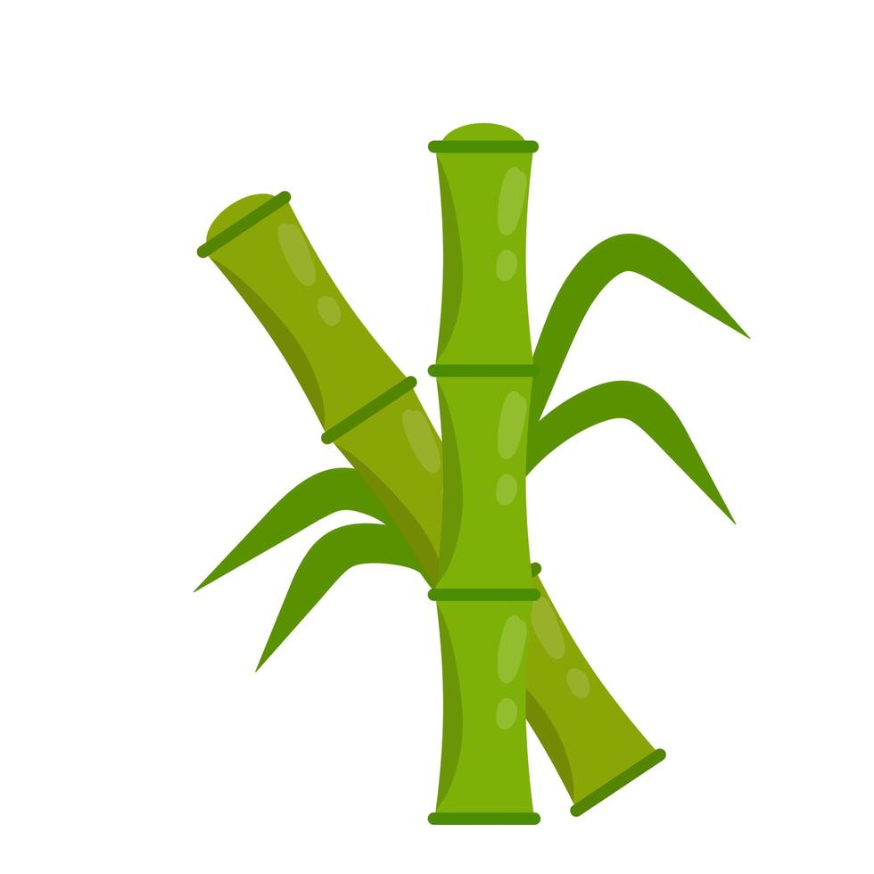 Bamboo with leaves. Green stem of plant. Asian Two Stick and branch. vector