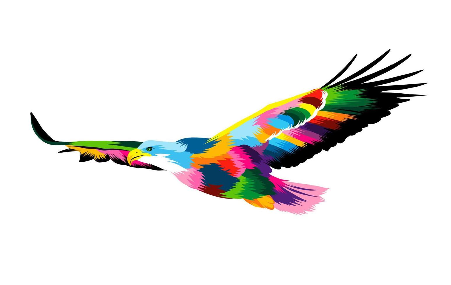 Abstract Flying bald eagle from multicolored paints. Colored drawing. Vector illustration of paints