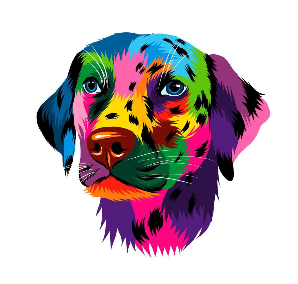 Abstract dalmatian dog head portrait from multicolored paints. Colored drawing. Puppy muzzle portrait, dog muzzle. Vector illustration of paints