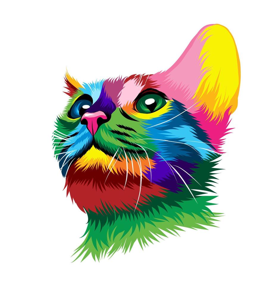 Abstract Oriental cat head portrait from multicolored paints. Abyssinian cat colored drawing. Portrait of a muzzle of a kitten, muzzle of a cat. Vector illustration of paints