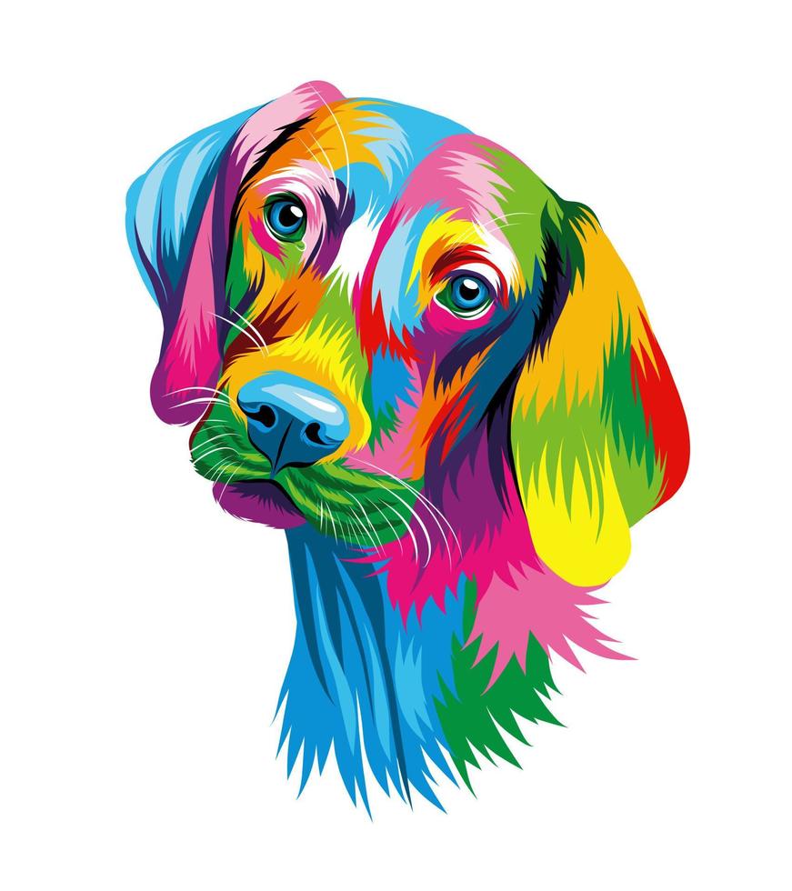Abstract head portrait of a hungarian vizsla dog from multicolored paints. Colored drawing. Puppy muzzle portrait, dog muzzle. Vector illustration of paints