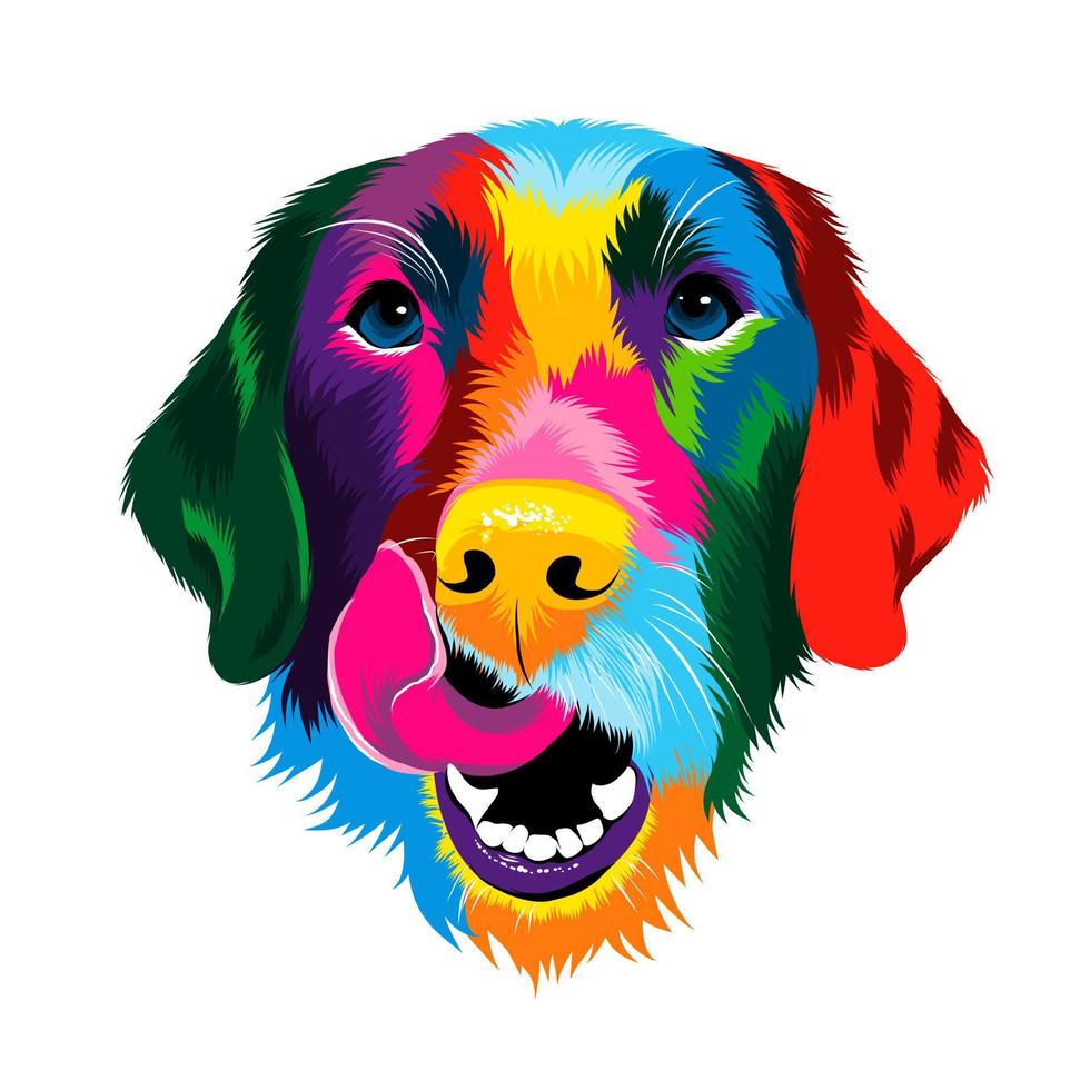 Abstract portrait of the head of a Labrador retriever from multicolored paints. Colored drawing. Puppy muzzle portrait, dog muzzle. Vector illustration of paints