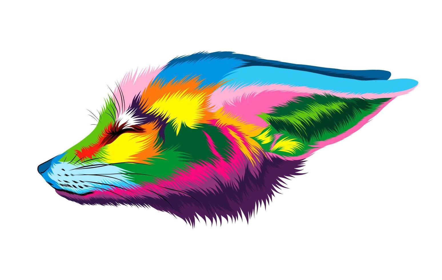 Abstract fennec fox head portrait, sand fox from multicolored paints. Colored drawing. Vector illustration of paints