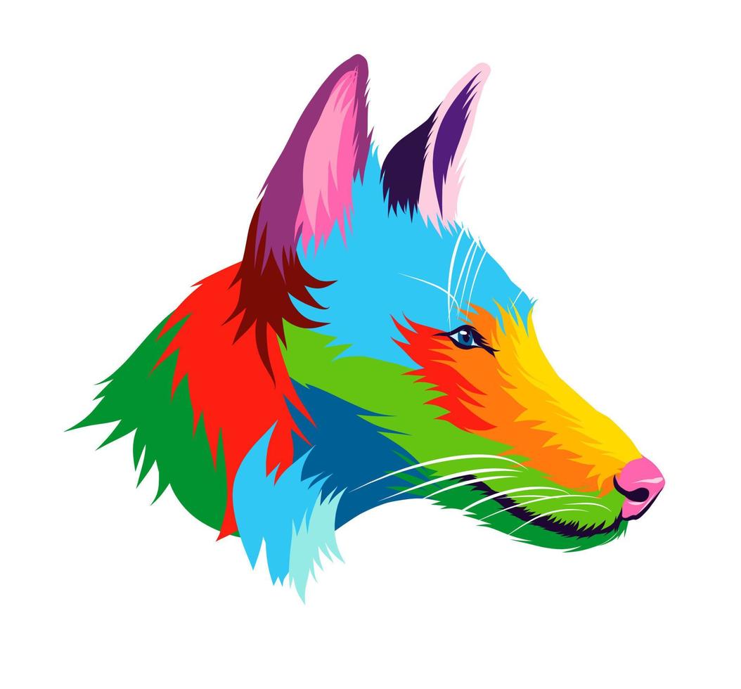 Abstract Ibizan Hound, Podenco ibicenco dog head portrait from multicolored paints. Colored drawing. Puppy muzzle portrait, dog muzzle. Vector illustration of paints