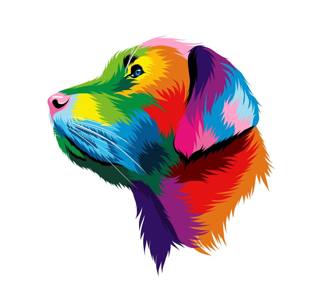 Abstract portrait of the head of a Labrador retriever from multicolored paints. Colored drawing. Puppy muzzle portrait, dog muzzle. Vector illustration of paints