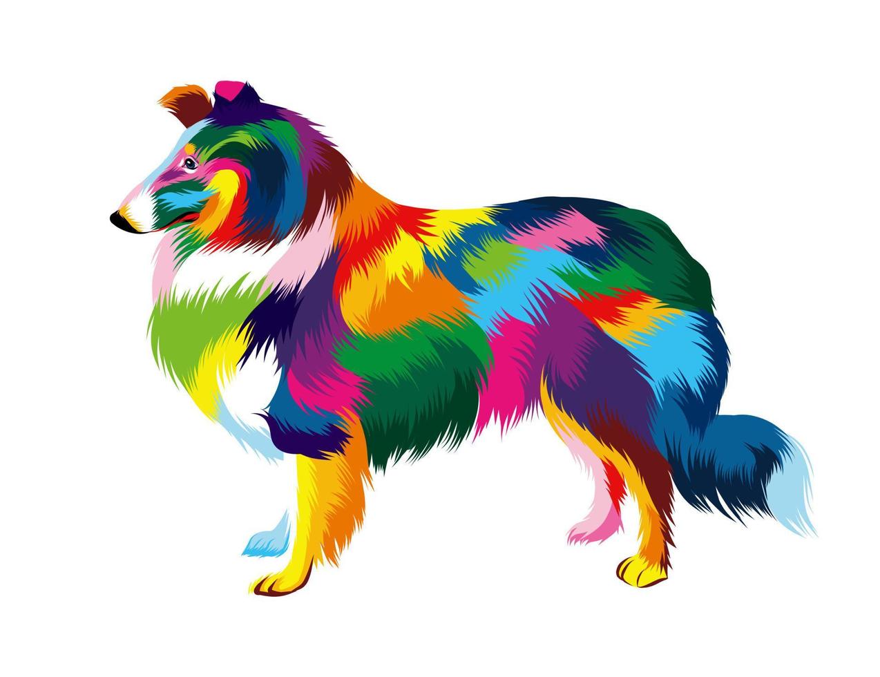 Abstract sheltie head portrait from multicolored paints. Colored drawing. Vector illustration of paints