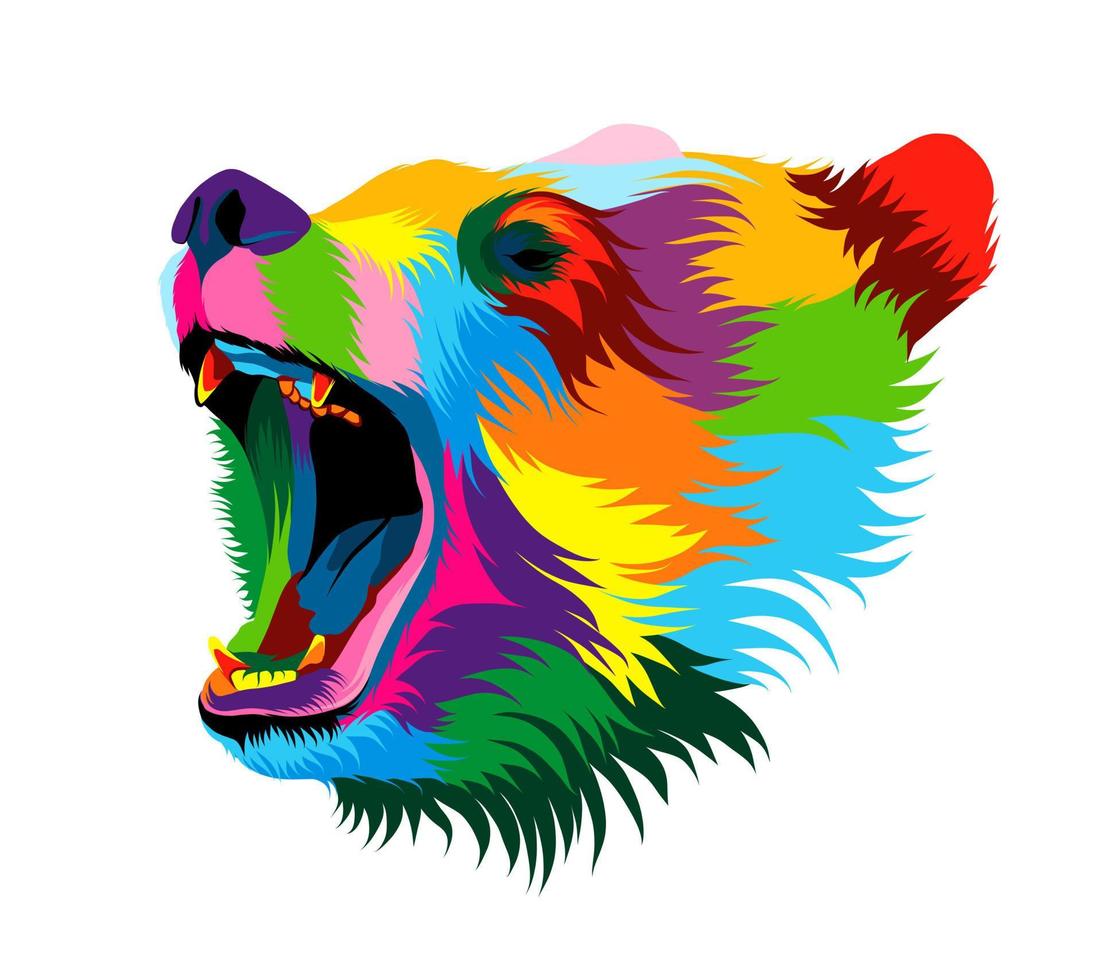 Abstract bear head portrait from multicolored paints. Colored drawing. Vector illustration of paints