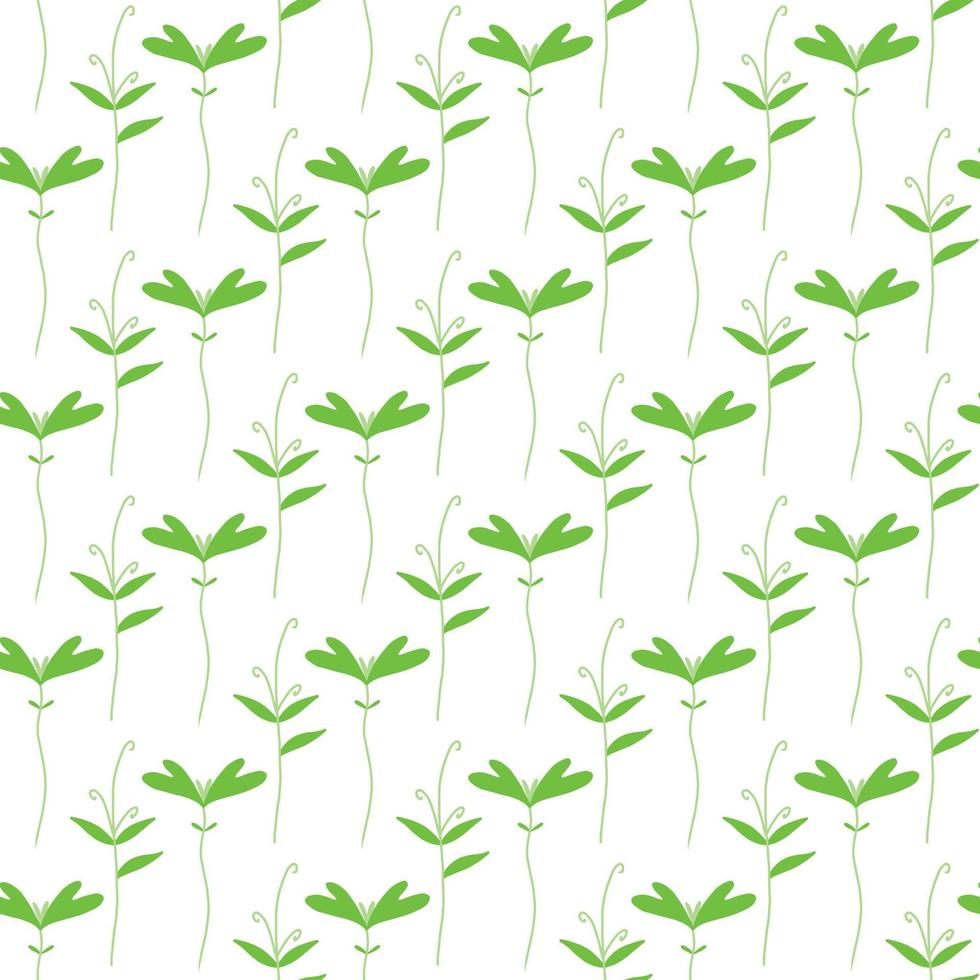 Vector pattern with greenery. Pattern with beet sprouts.