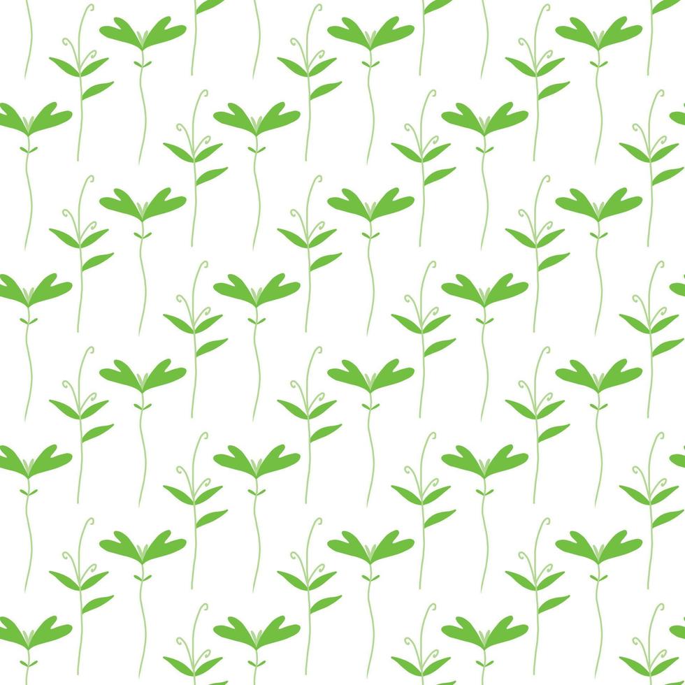 Vector pattern with greenery. Pattern with beet sprouts.