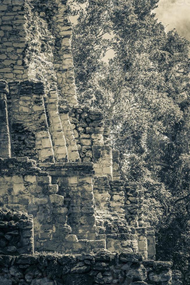 antiguo sitio maya con templo ruinas pirámides artefactos muyil mexico. foto