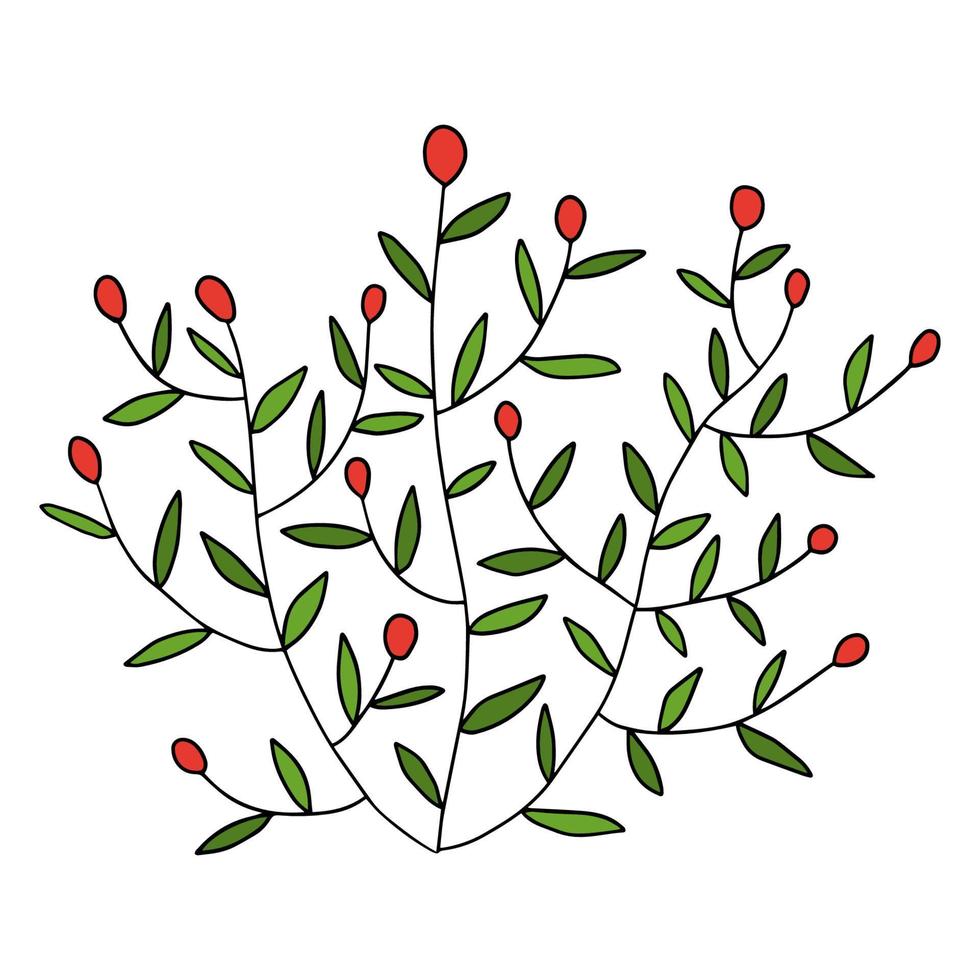 flor de dibujos animados de fideos coloridos, arbusto con bayas aisladas sobre fondo blanco. vector