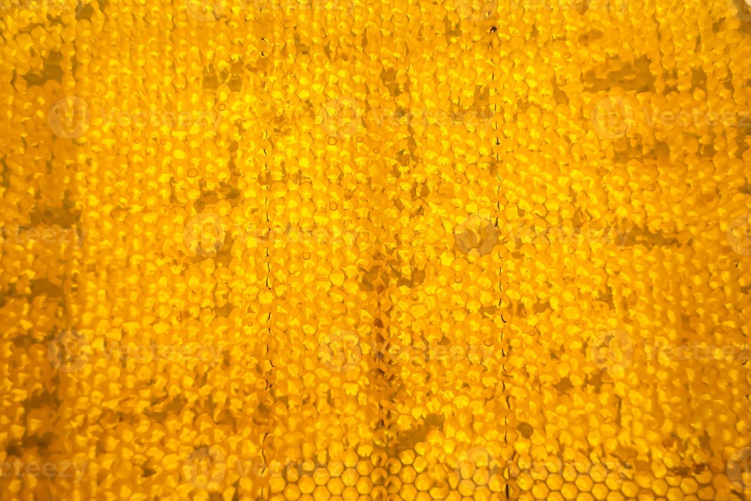 Honeycomb from bee hive filled with golden honey photo