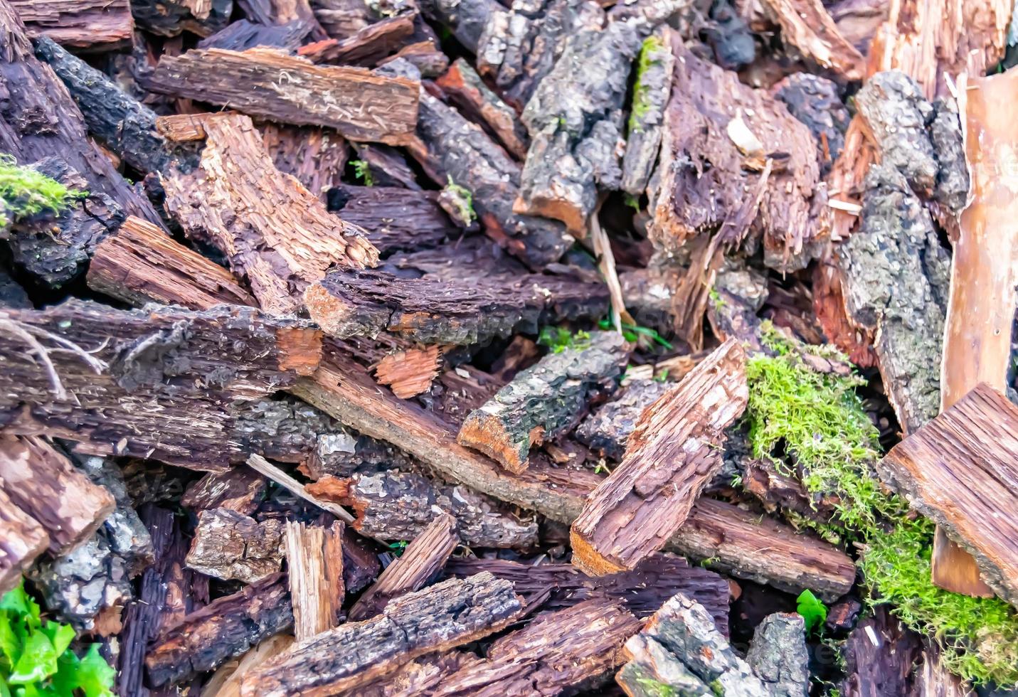 Photography on theme big wall of stacked oak tree logs in cracks photo