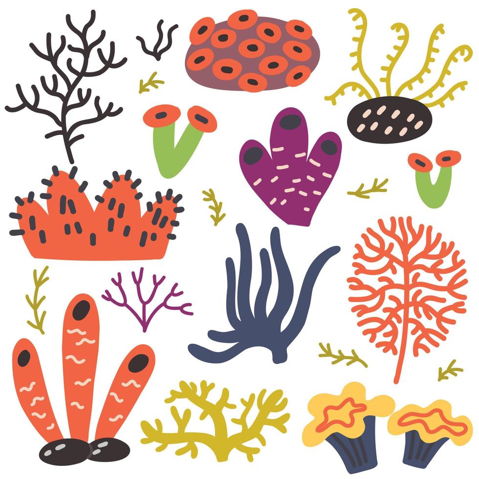 Sea underwater corals vector