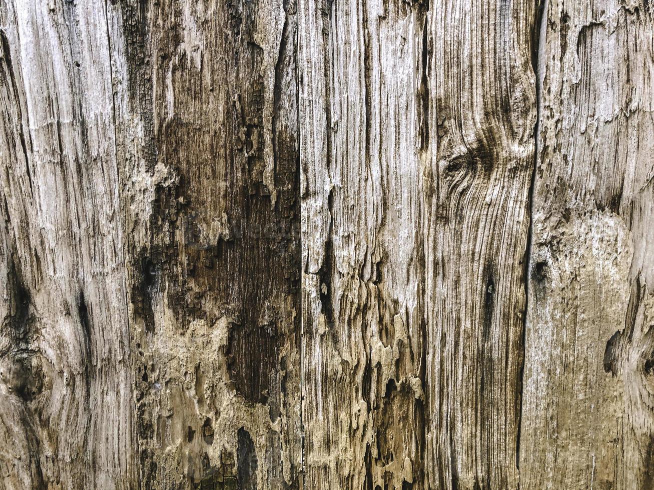 wood plank texture background in orange color photo
