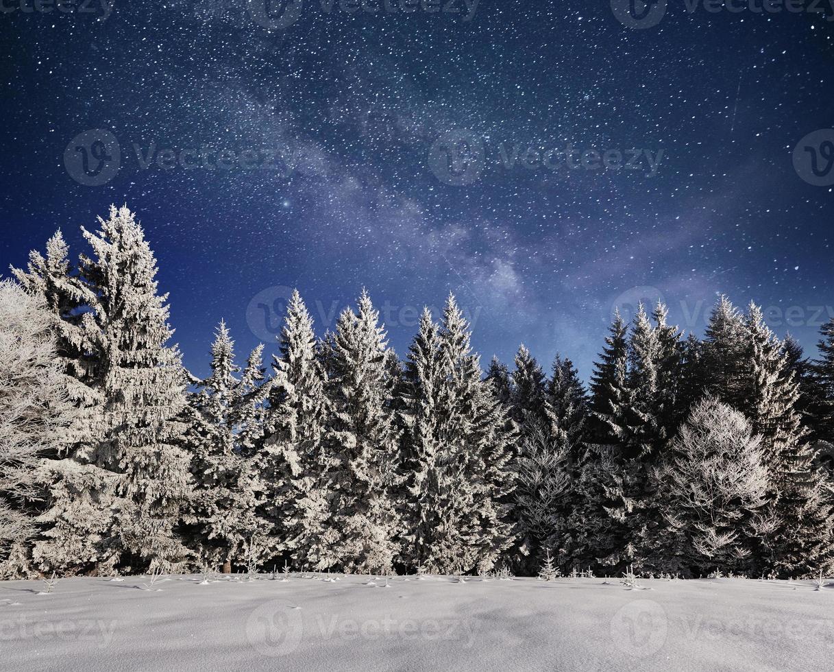 árbol mágico cubierto de nieve de invierno. paisaje de invierno cielo nocturno vibrante con estrellas y nebulosa y galaxia. astrofotografía de cielo profundo foto