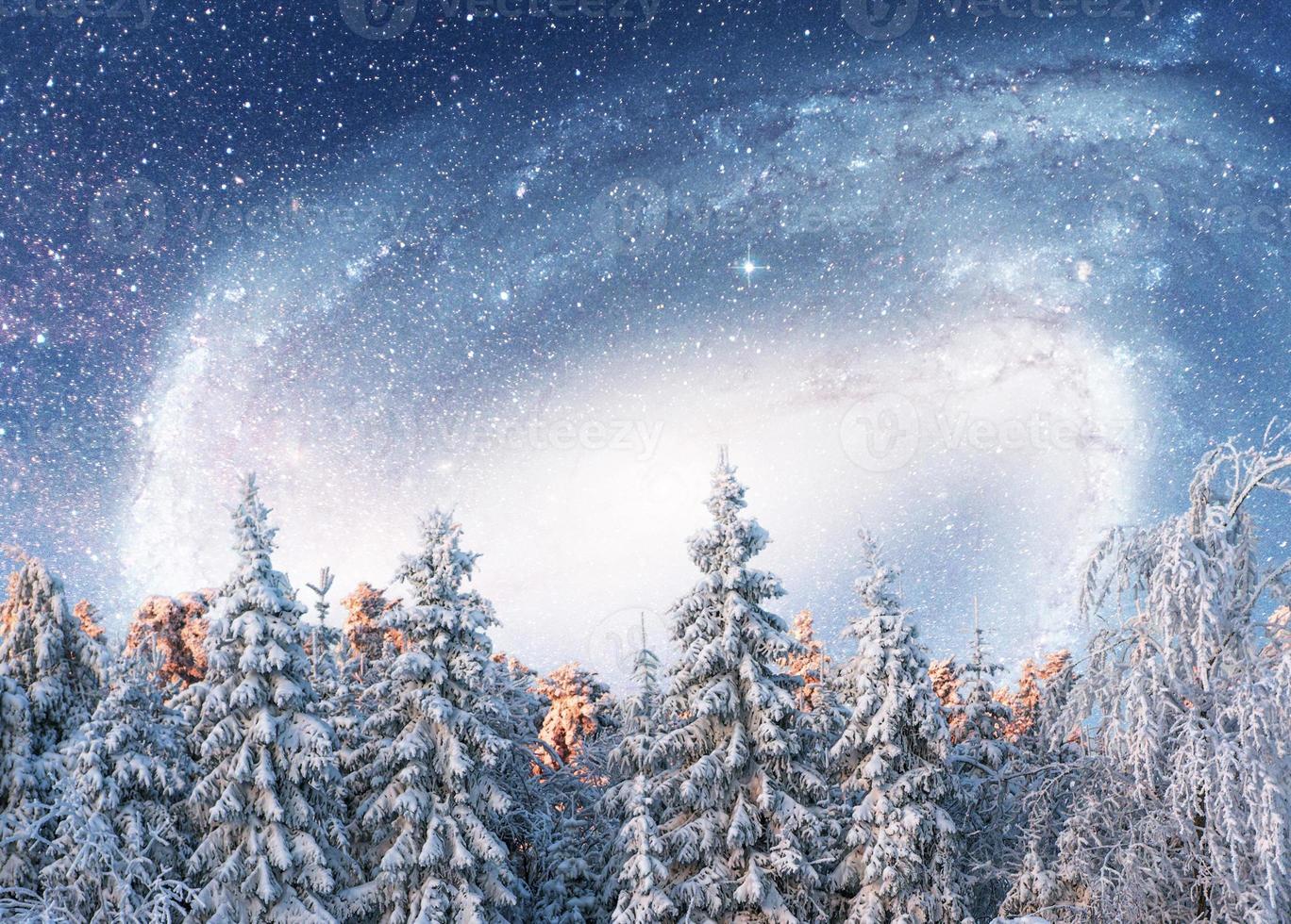 starry sky in winter snowy night. fantastic milky way in the New Year's Eve. Courtesy of NASA. In anticipation of the holiday. Dramatic scene. Carpathian. Ukraine photo