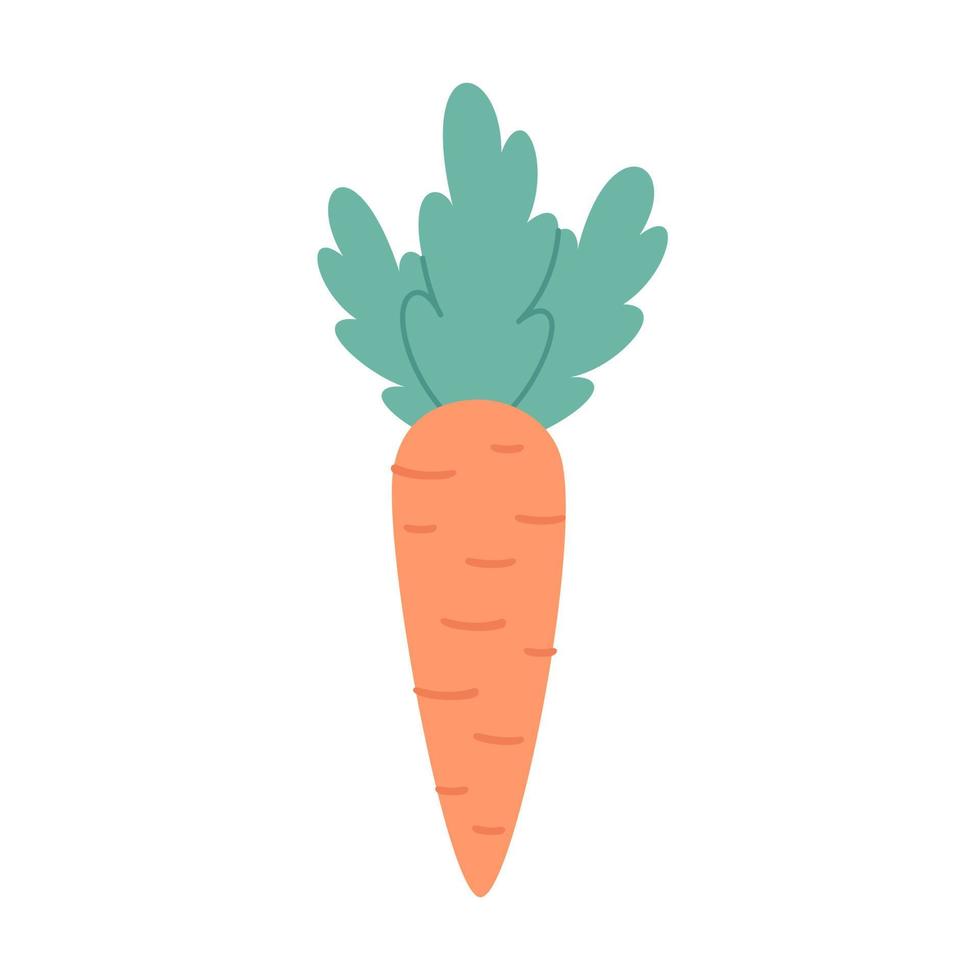 Cute carrot. Root vegetables. Hand drawn vector illustration